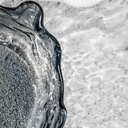 DSC_3310.jpg